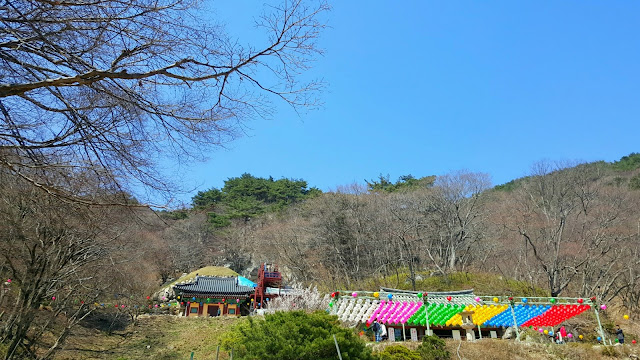 gyeongju spring trip