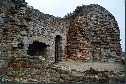 29-inchcolm