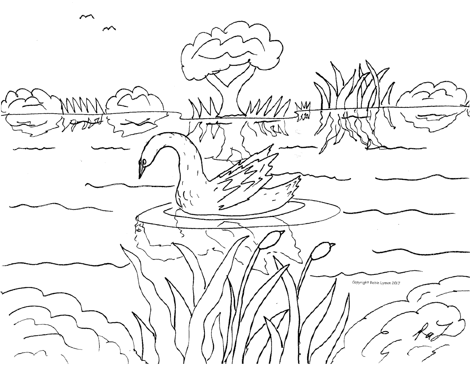 Robin's Great Coloring Pages: Swans coloring pages