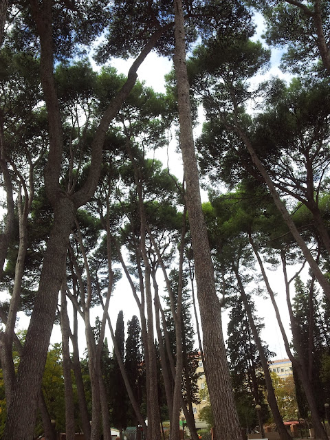 Parque Miguel Servet de Huesca