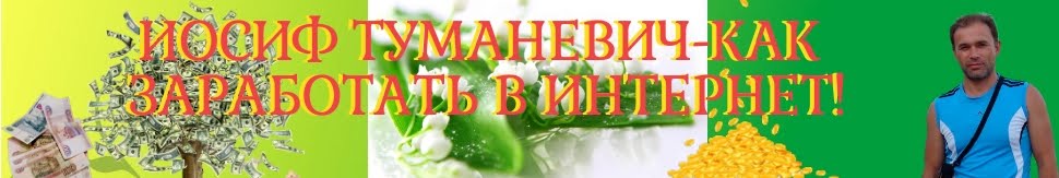 Иосиф Туманевич-как заработать в  интернет!