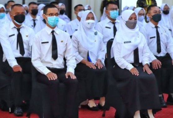 Petunjuk Pengisian DRH CPNS dan PPPK Tahun 2023