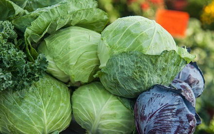 Cabbage benefits for skin