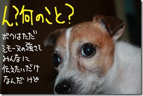 今日カズ１０１１１９　４