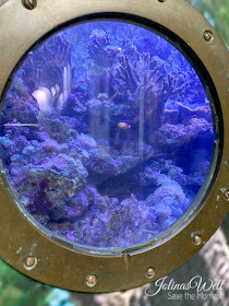 Zee Aquarium Bergen aan Zee Holland