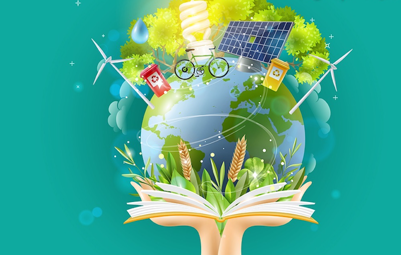 15 Maneras de celebrar el Día Mundial de la Educación Ambiental