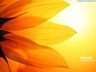 Toshiba Standard Resolution Wallpaper 6