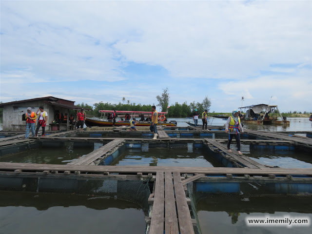 Visiting the local fish farm @ Setiu