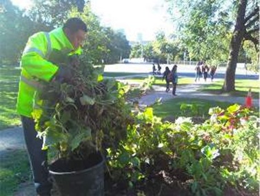 occupy_toronto_gardens_destroyed_web