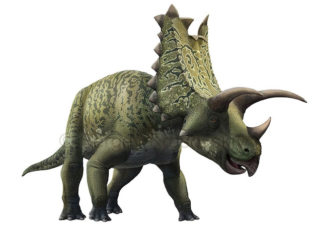 Пентацератопс (лат. Pentaceratops)