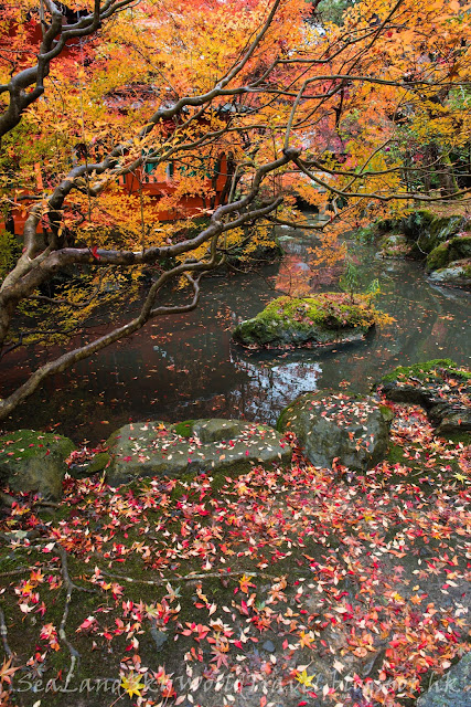 紅葉昆沙門堂