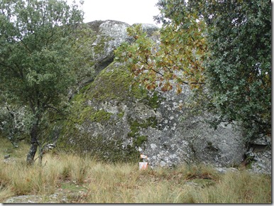 DSC00700