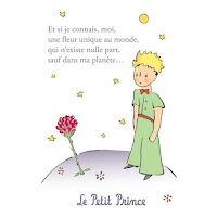 Le Petit Prince Rms Social Studies Craig Wiebe