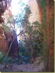 10Echidna Gorge