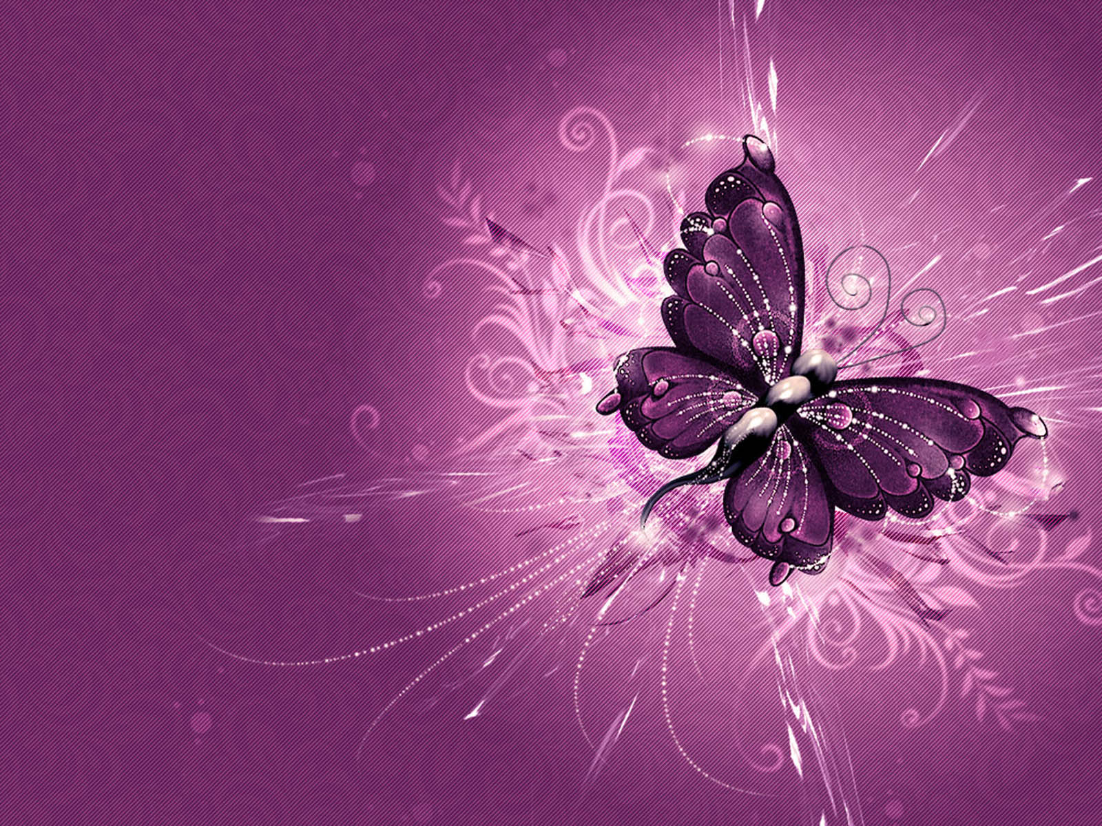 Butterfly Wallpapers