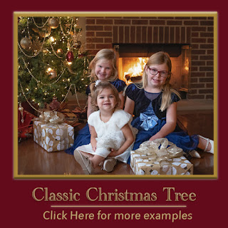 2023 Christmas Mini Sessions Formal classic Christmas tree Set DeKalb Sycamore IL