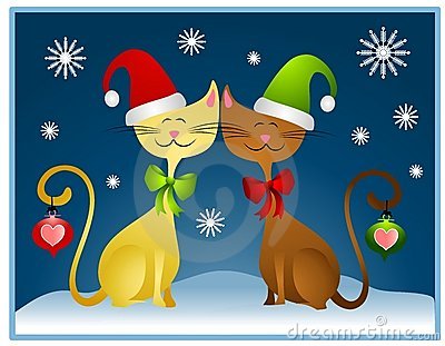 Christmas Cat Desktop Wallpapers, Xmas Cat Pets