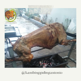 Kambing Guling Cikampek Karawang,Jual Nasi Kebuli Kambing Guling Cikampek,Jual Nasi Kebuli Kambing Guling,kambing guling,Jual Nasi Kebuli Kambing Guling Cikampek Karawang,