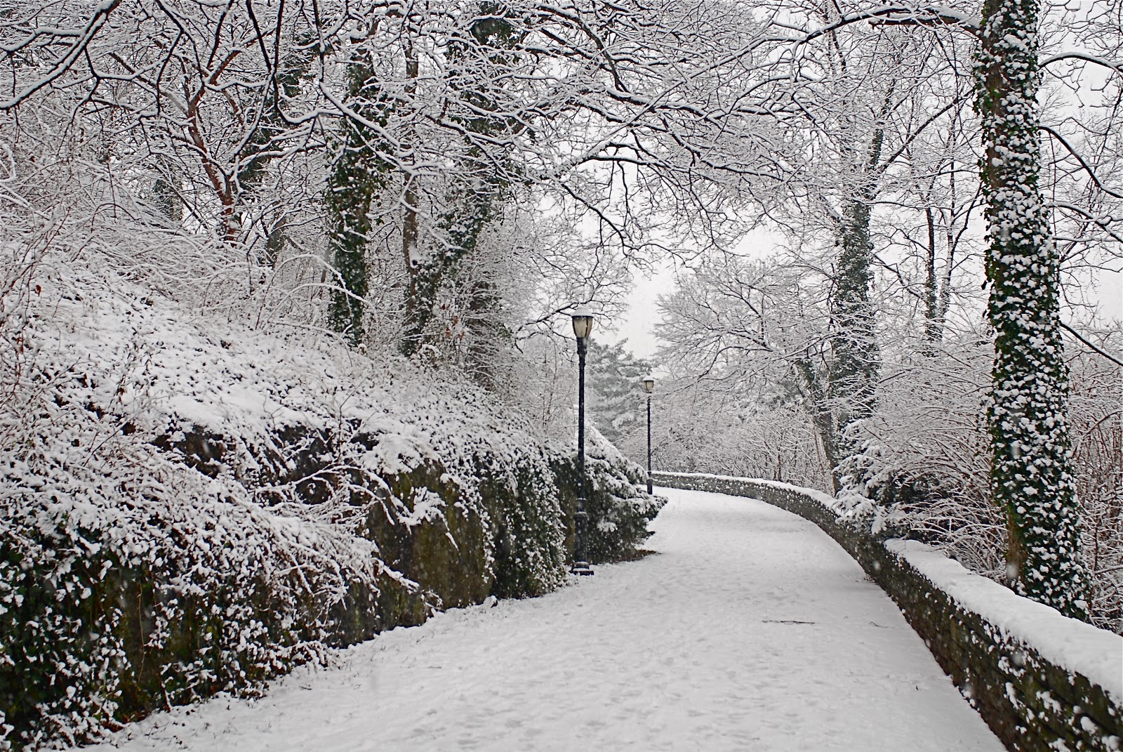 Winter Scenes in Fort Tryon Park