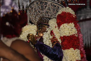 Aani,Aswa Vahanam,Purappadu , Vahanam,Sri Theliya Singar, Yoga Narasimhar,Brahmotsavam ,Purappadu,Video, Divya Prabhandam,Sri Parthasarathy Perumal, Triplicane,Thiruvallikeni,Utsavam,