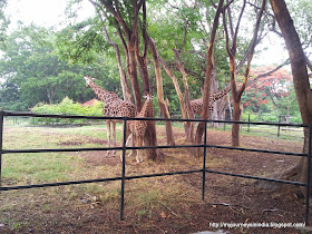 Mysore Zoo