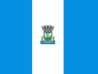 Bandeira de Barroso MG