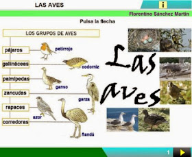 http://cplosangeles.juntaextremadura.net/web/edilim/curso_3/cmedio/animales_vertebrados_3/aves/aves.html