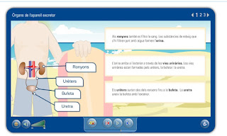 http://agrega.juntadeandalucia.es/visualizador-1/es/pode/presentacion/visualizadorSinSecuencia/visualizar-datos.jsp