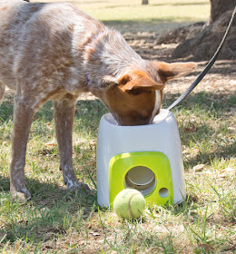 Interactive puzzle food toy for dogs