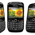 Harga Blackberry Gemini 8530 CDMA dan Spesifikasi Lengkap