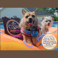 Surfing with your dogs with wellness core rawrev