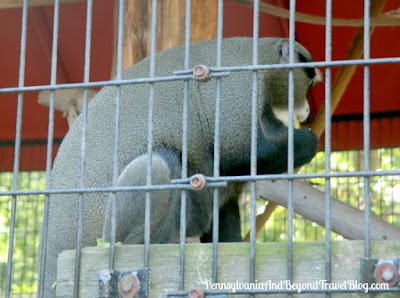 Cape May County Park and Zoo in New Jersey