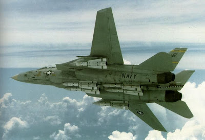 image F-14 Tomcat