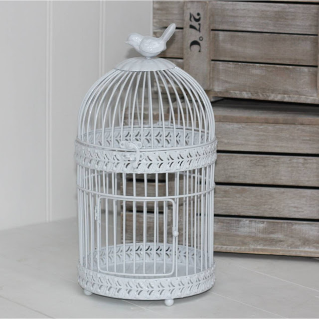 Bird Cage Design Ideas