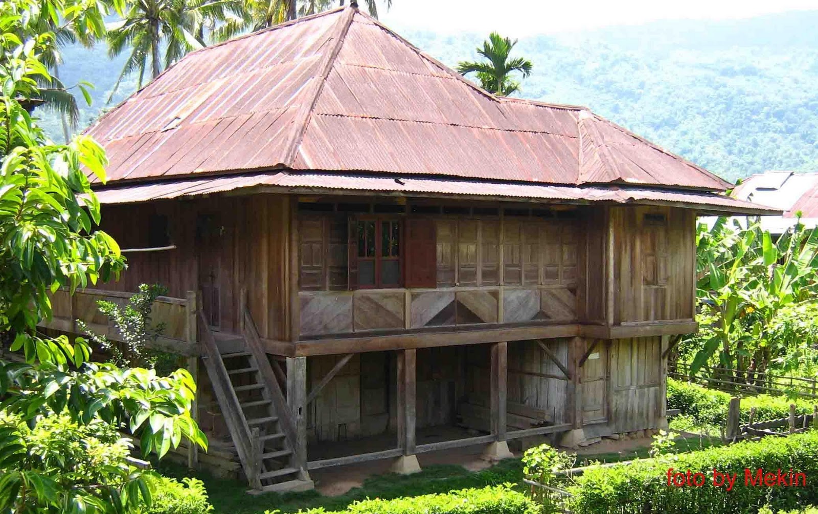 Lintang Dusunku Keunikan Rumah  Panggung  Di Lintang Empat 