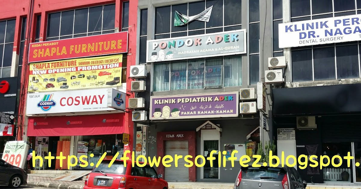 Flowers of Life: Klinik Pediatrik Adek (Pakar Kanak-Kanak 