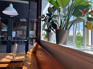 Plant Decor
