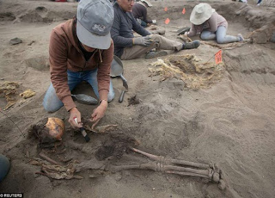 tragic skeletons of 56 chimu children 