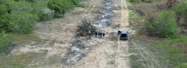 Polícia federal investiga desmatamento em área de proteção ambiental no interior do RN
