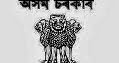 Junior Assistant Jobs in Directorate of Elementary Education, Assam, November 2014 [53 posts]