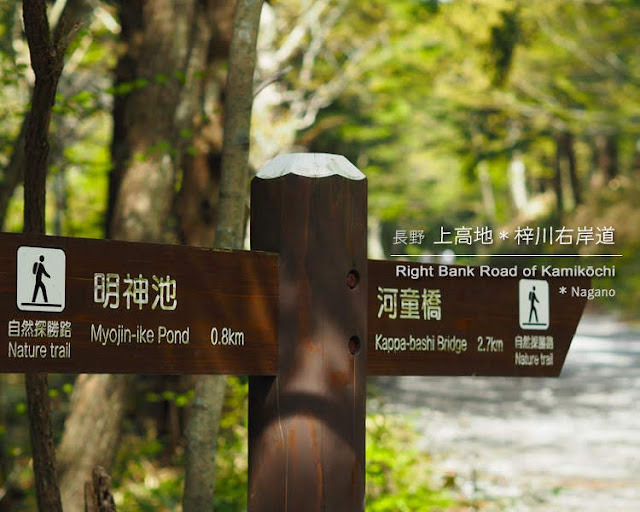 上高地･梓川右岸道：神池〜河童橋70分コース