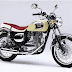 Kawasaki Estrella 
