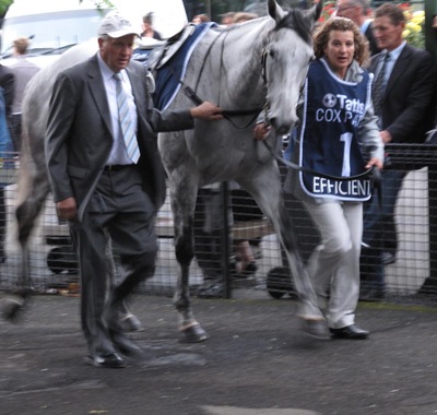 race8_efficient