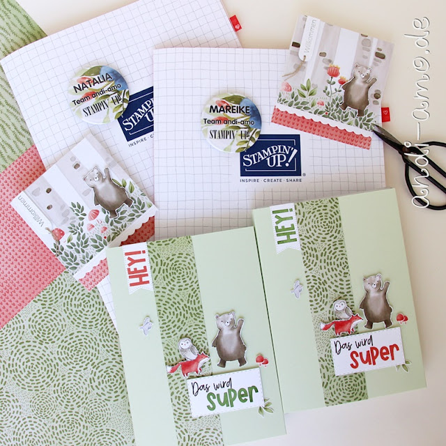 Stampin Up  Einsteiger-Set Angebot Team andi-amo