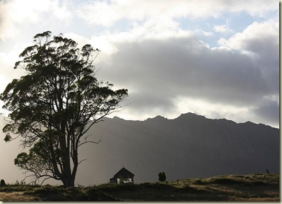 Morning sun, The Granary, Sheffield, Tasmania