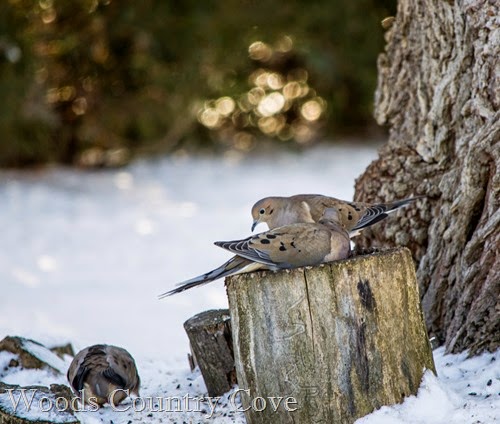 JANUARY 2015 (12 of 14)