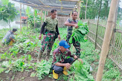 Subsektor 06 Sektor 16 Panen Sayur Hasil Budidaya Tanam Demplot