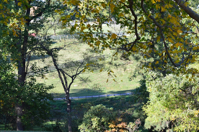 walking or hiking the Hills at Maymont, #RVA