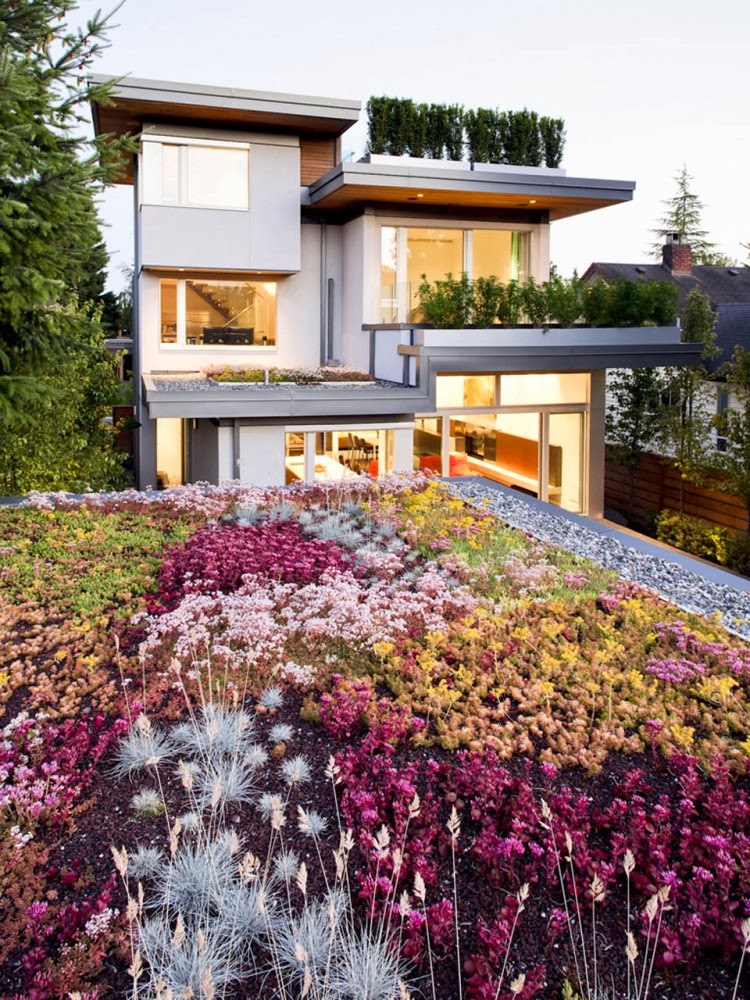 LEED Platinum Residence - Kerchum Residence