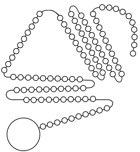 namc montessori studying absorbent mind chapter 5 gene chain illustration